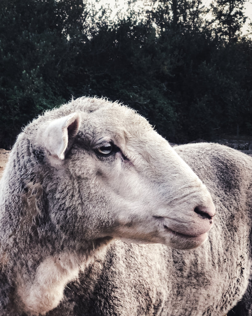 Back to the Beginning