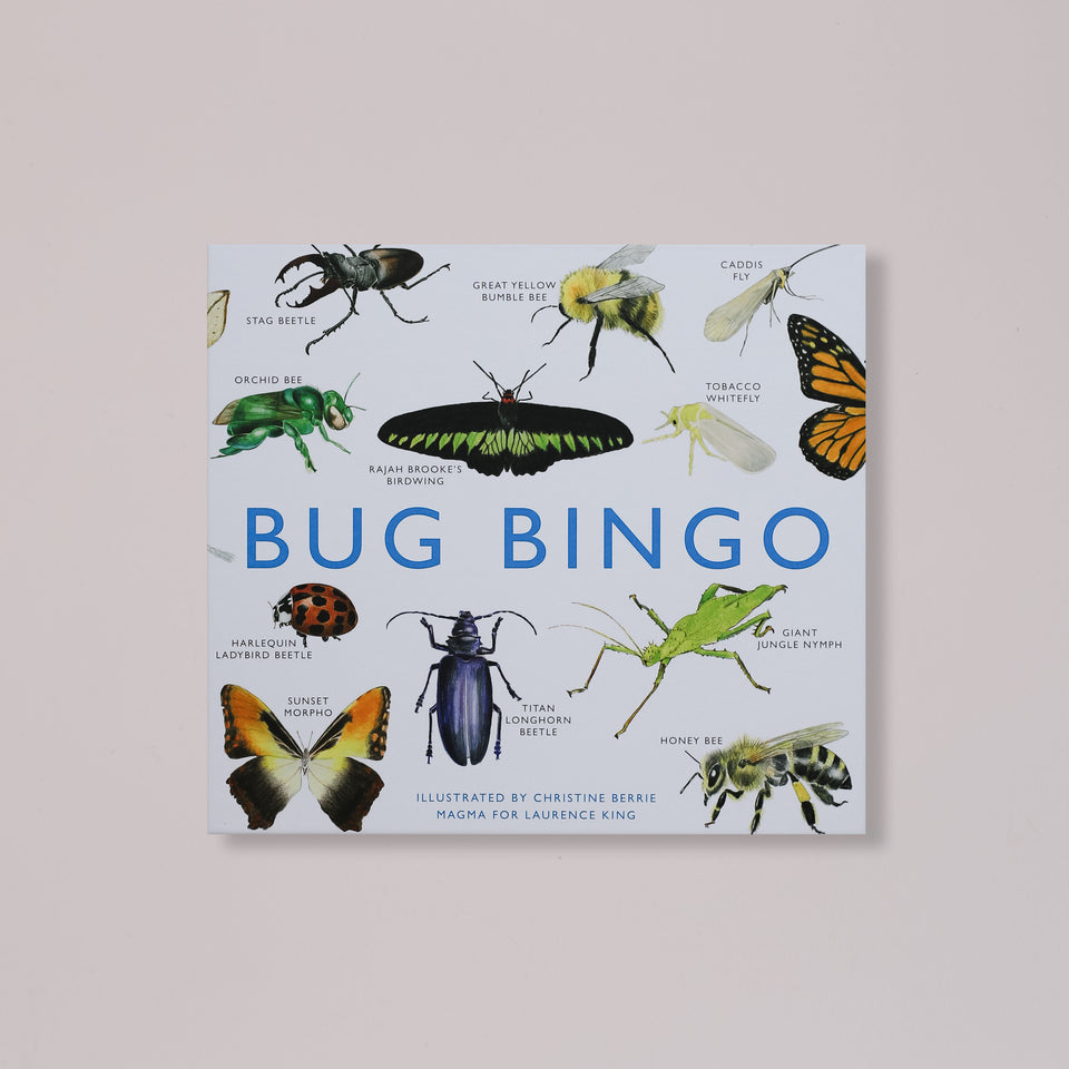 Bug Bingo