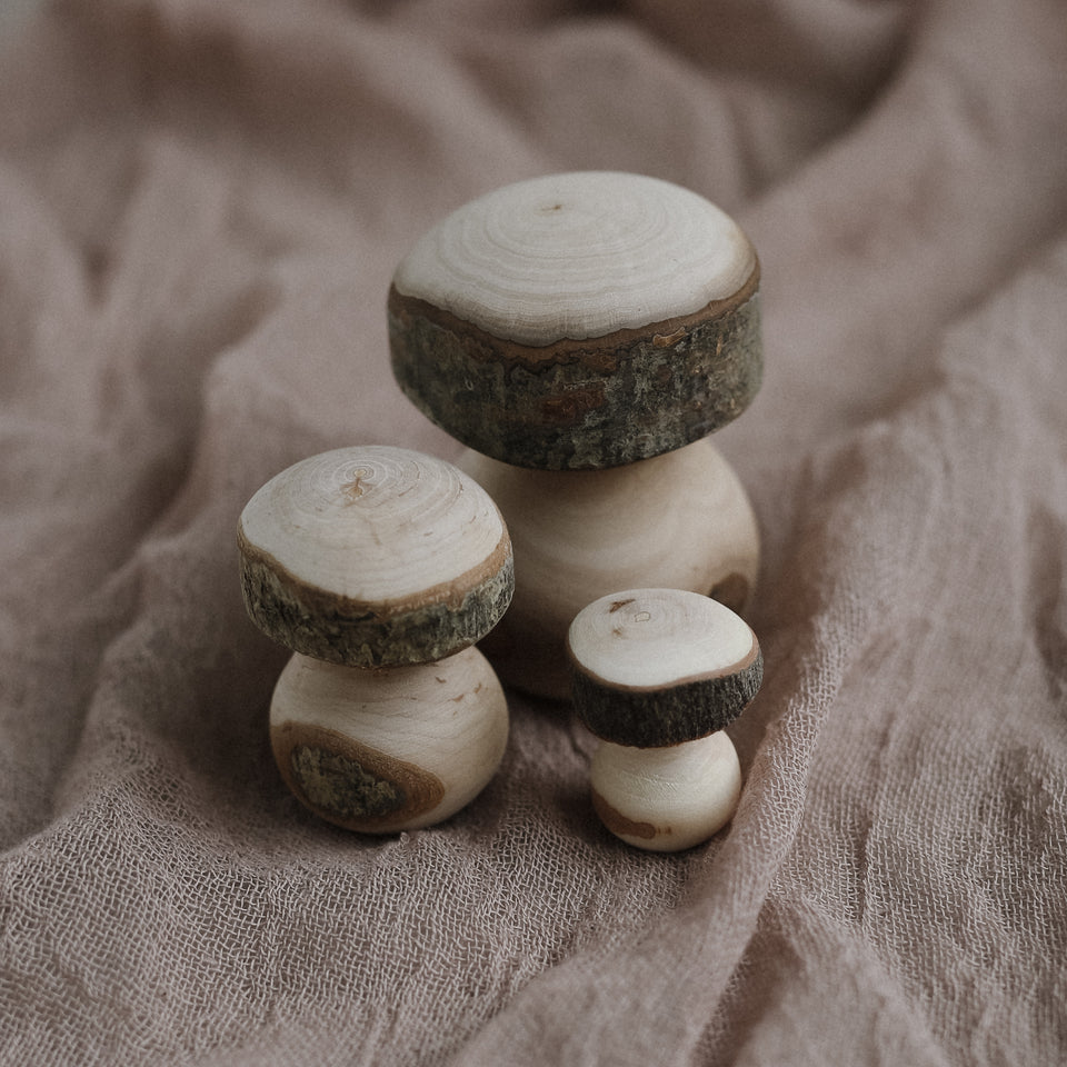 Wooden Mushrooms (Set of 3)