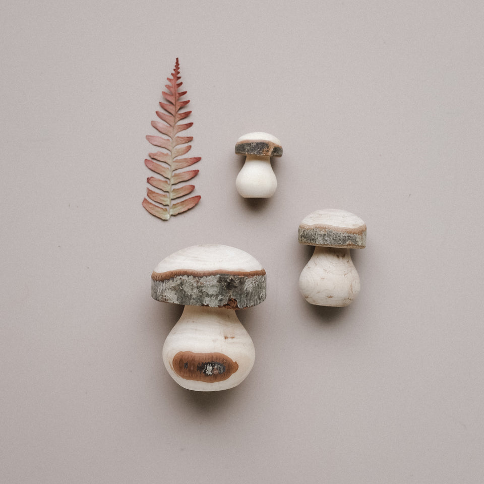 Wooden Mushrooms (Set of 3)