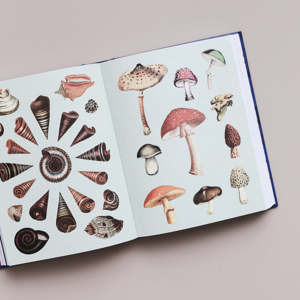 The Antiquarian Sticker Book
