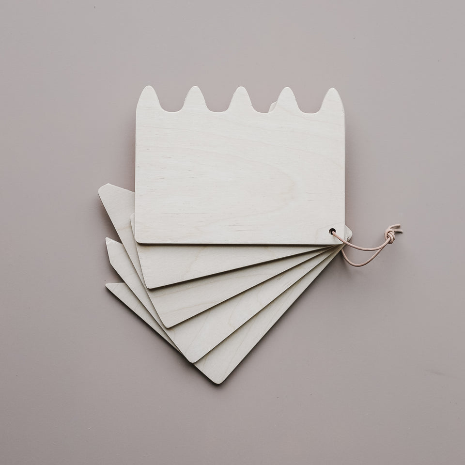 Sand Combs (Set of 5)