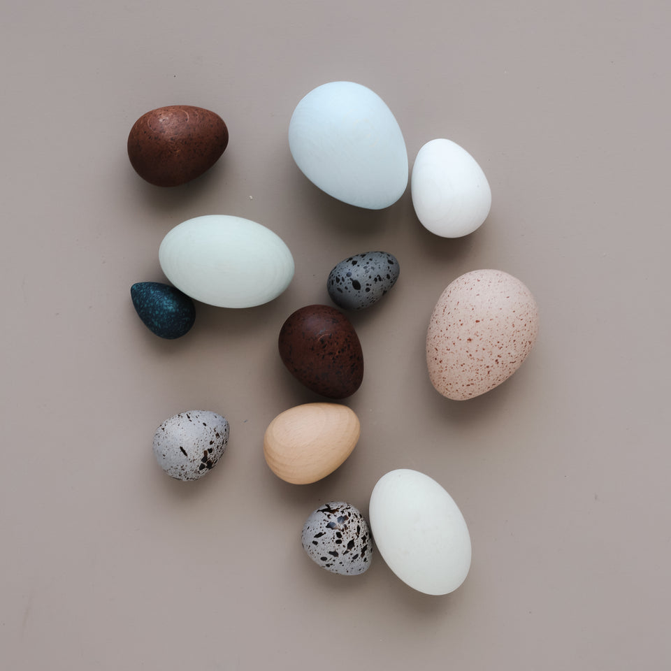 A Dozen Bird Eggs