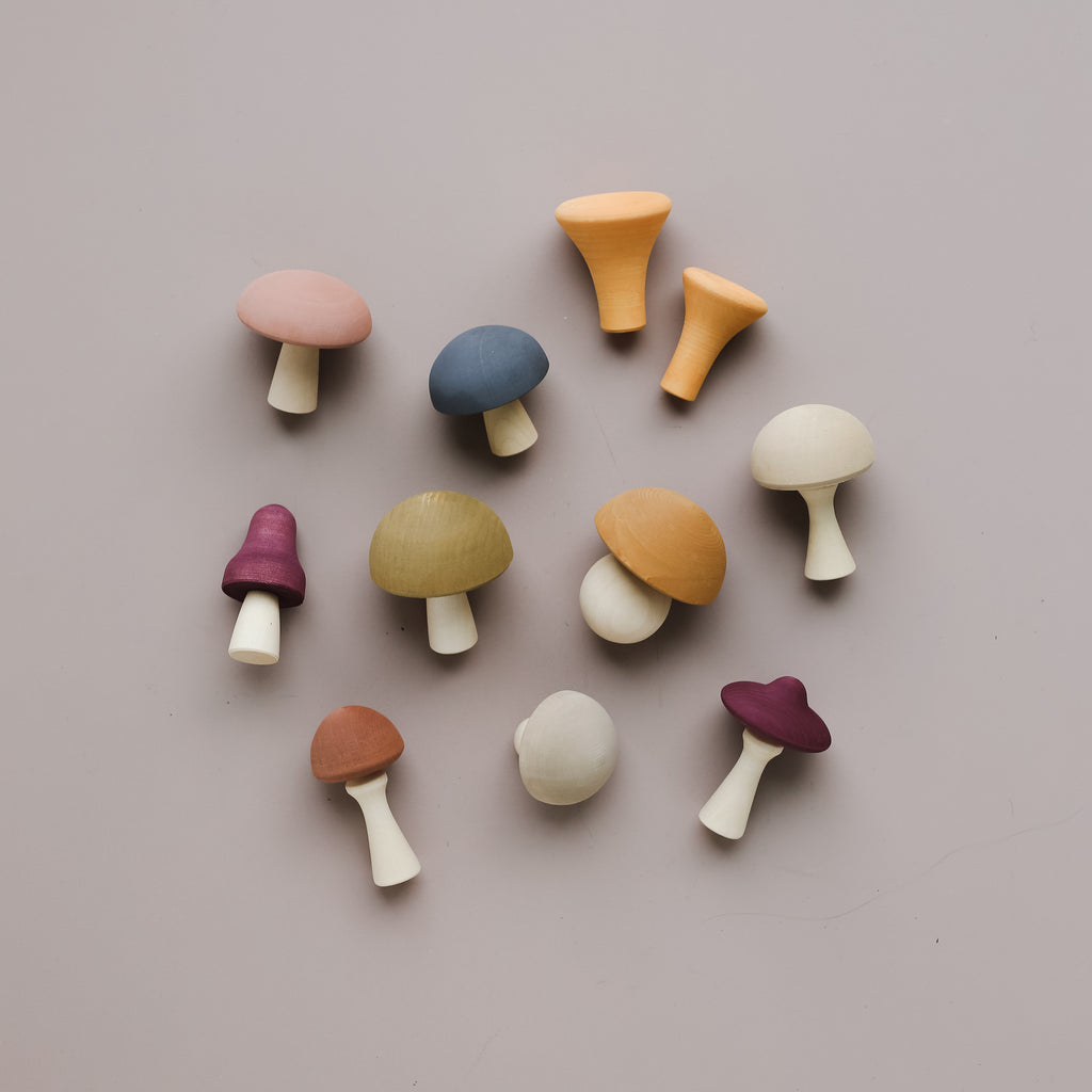 Mushrooms - Raduga Grez