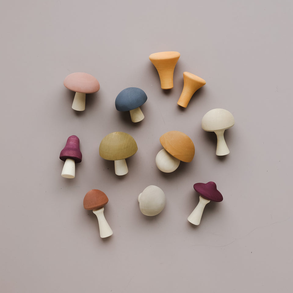 Wooden Mushroom Set