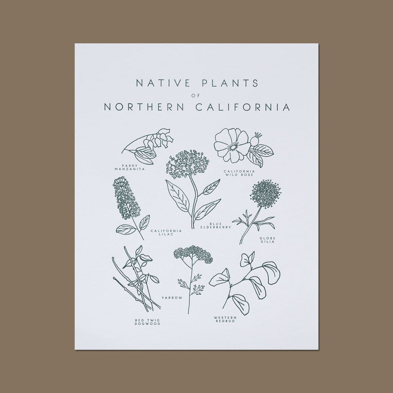 Native Plants of Northern California Letterpress Print