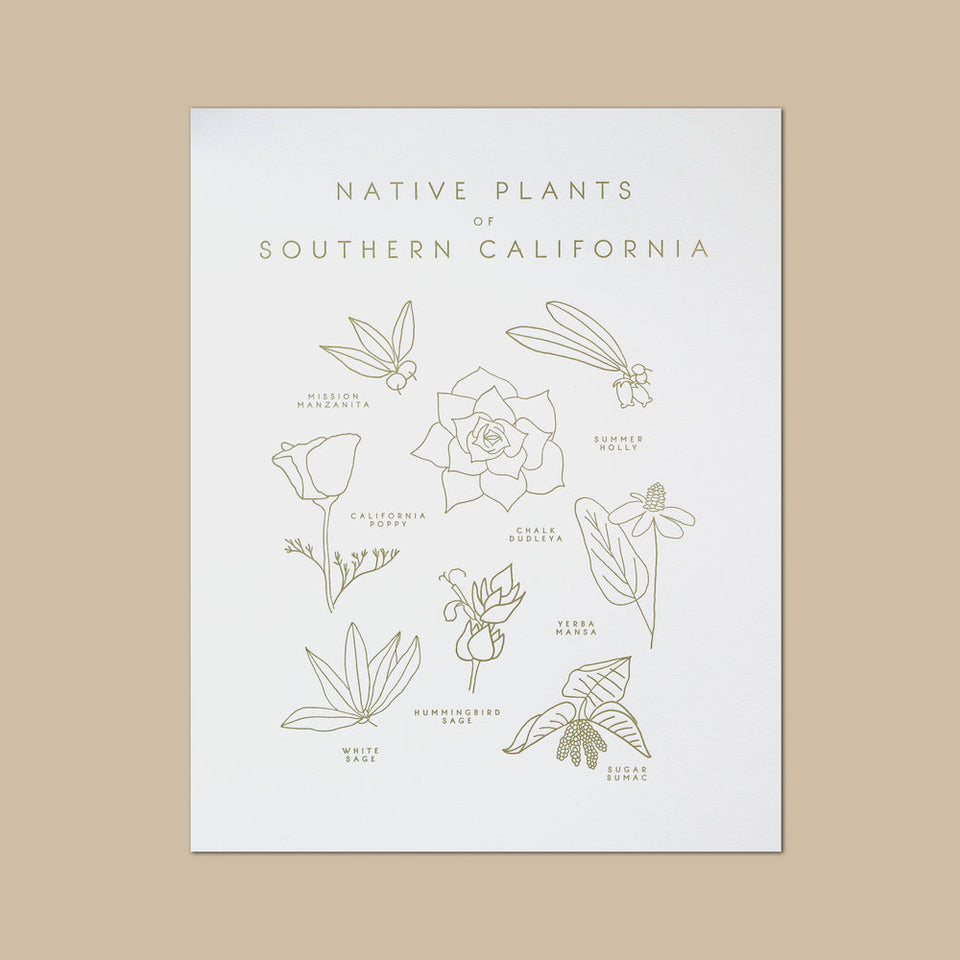 Native Plants of Southern California Letterpress Print
