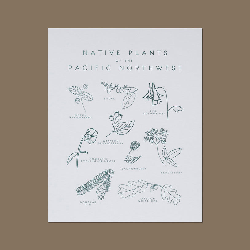 Native Plants of the Pacific Northwest Letterpress Print