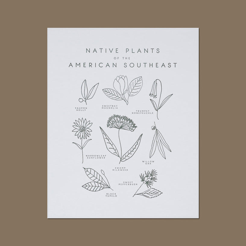 Native Plants of the American Southeast Letterpress Print