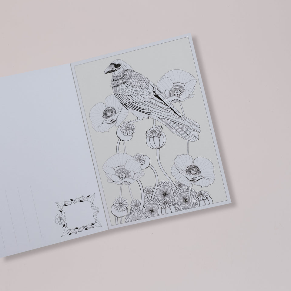Birdtopia: 12 Color-In Postcards