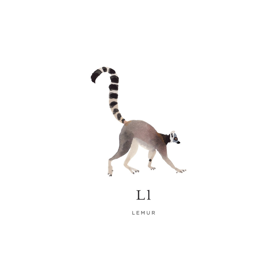 Animal Alphabet Poster