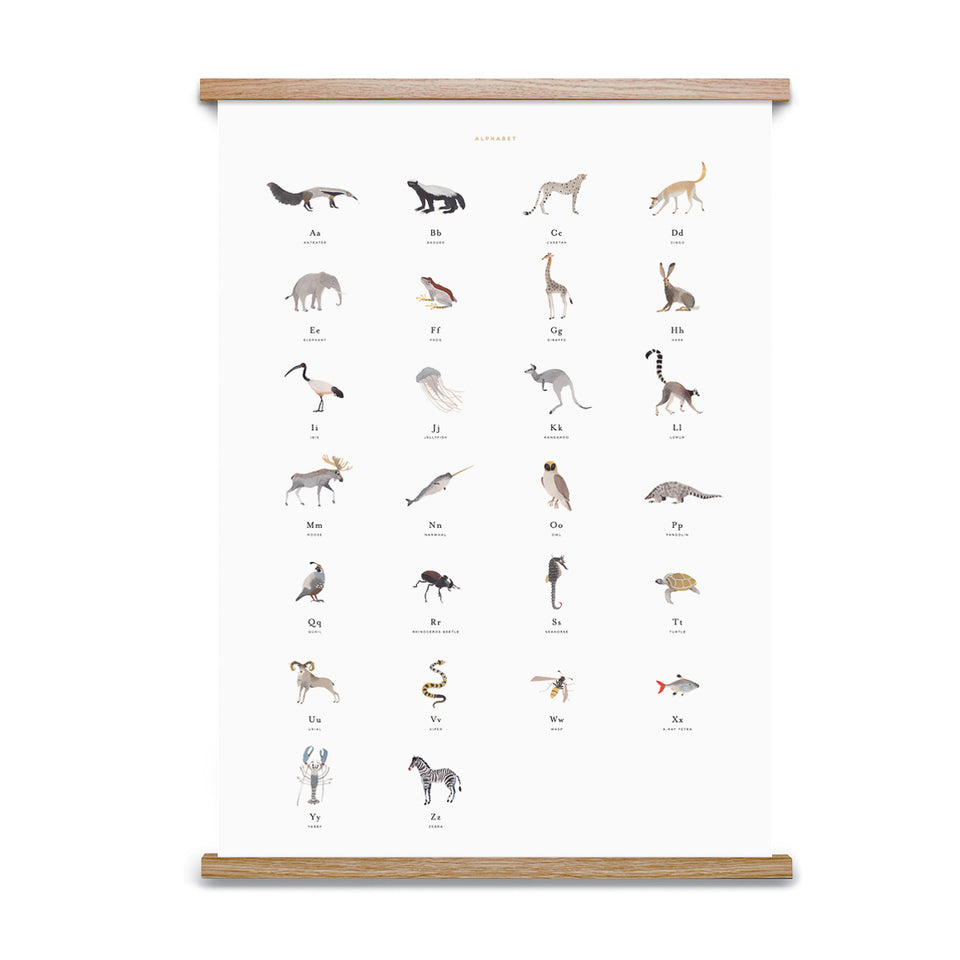 Animal Alphabet Poster