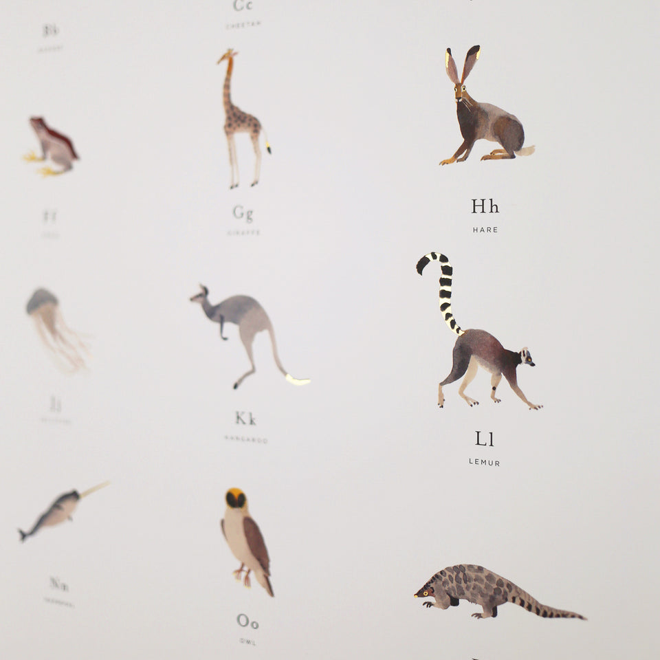 Animal Alphabet Poster