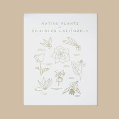 Native Plants of Southern California Letterpress Print