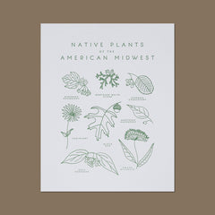 Native Plants of the American Midwest Letterpress Print