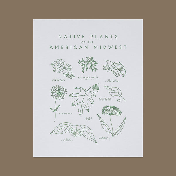 Native Plants of the American Southwest Letterpress Print – Mouse in the  House Shop