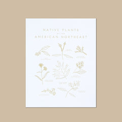 Native Plants of the American Northeast Letterpress Print