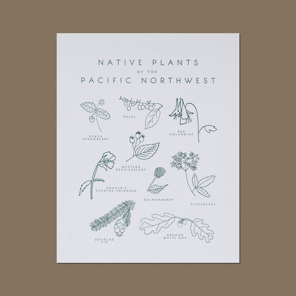 Native Plants of the American Southwest Letterpress Print – Mouse in the  House Shop