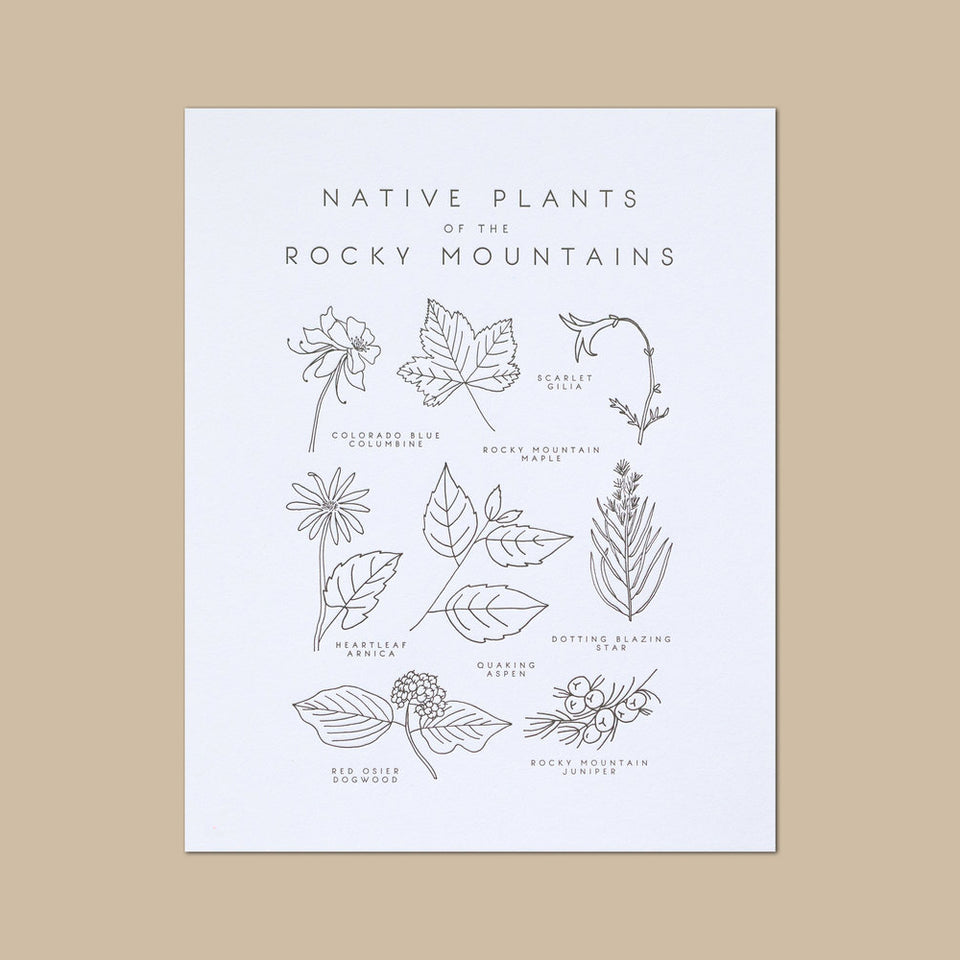 Native Plants of the Rocky Mountains Letterpress Print