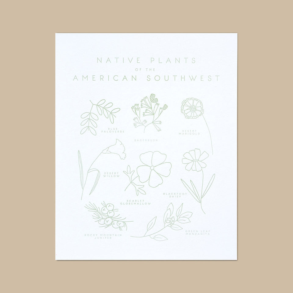 Native Plants of the American Southwest Letterpress Print